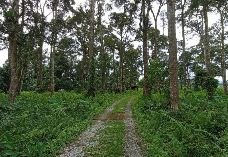 Batang Kali Malay Reservation