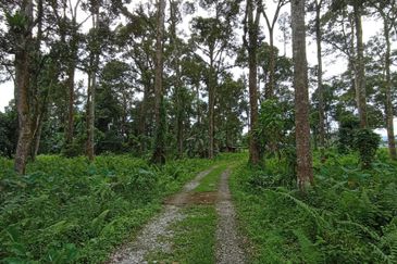Batang Kali Malay Reservation
