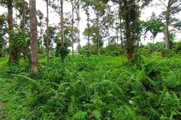 Batang Kali Malay Reservation