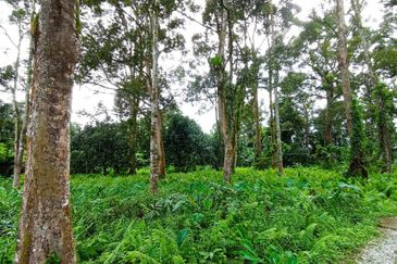 Batang Kali Malay Reservation