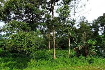 Batang Kali Malay Reservation