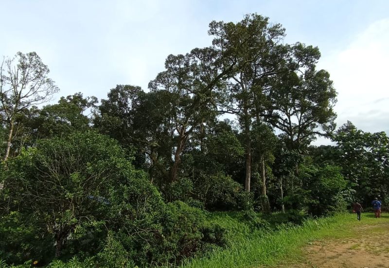 Batang Kali Malay Reservation