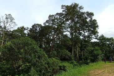 Batang Kali Malay Reservation