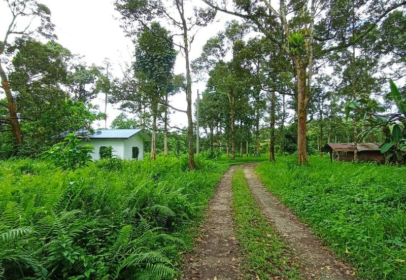 Batang Kali Malay Reservation