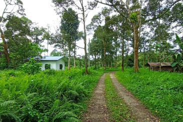 Batang Kali Malay Reservation