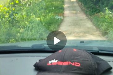 4 Ekar Dusun Durian Musang King dan Sungai Cantik BAtang kali. Selangor. Sesuai untuk campsite