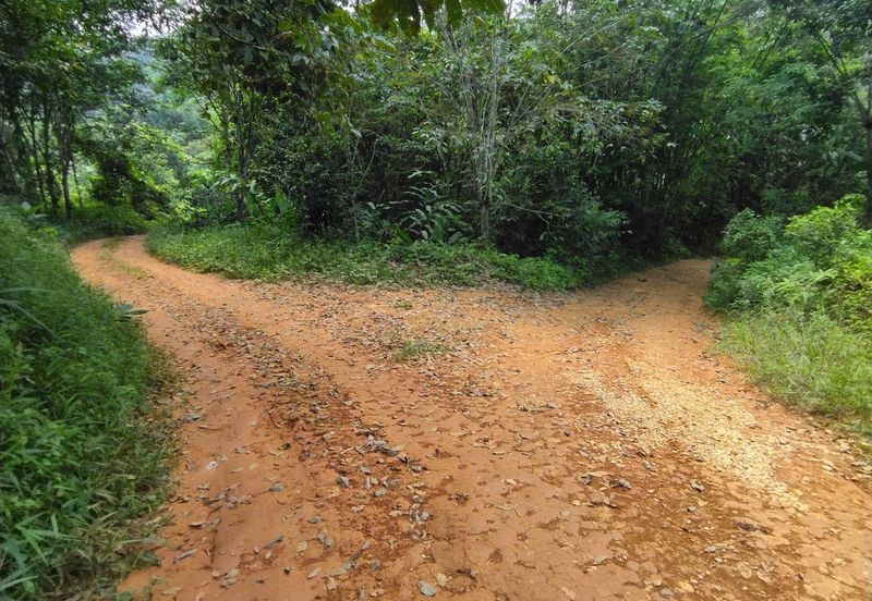 4 Ekar Dusun Durian Musang King dan Sungai Cantik BAtang kali. Selangor. Sesuai untuk campsite