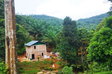 4 Ekar Dusun Durian Musang King dan Sungai Cantik BAtang kali. Selangor. Sesuai untuk campsite