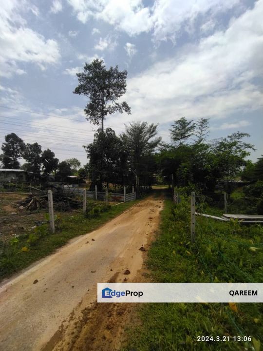 Freehold 1.46 ekar Tanah Status Kediaman Sg Pelong. Sungai Buloh. Selangor, Selangor, Sungai Buloh