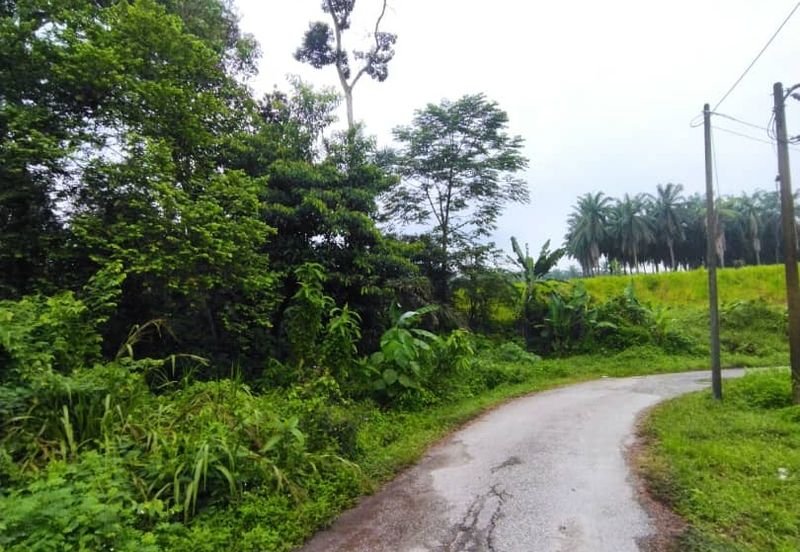 Kampung Baharu Tambahan Hulu Yam