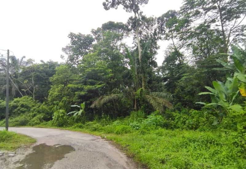 Kampung Baharu Tambahan Hulu Yam