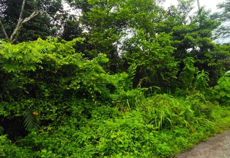 Kampung Baharu Tambahan Hulu Yam