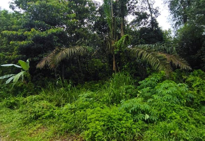 Kampung Baharu Tambahan Hulu Yam