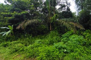 Kampung Baharu Tambahan Hulu Yam