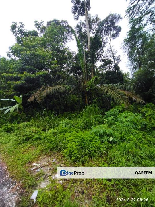 13509 sft Non Bumi Lot Kampung Baharu Tambahan Ulu Yam Batang Kali., Selangor, Batang Kali