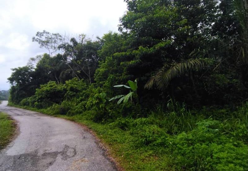 Kampung Baharu Tambahan Hulu Yam