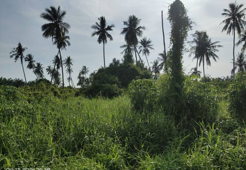 FREEHOLD 4.9 Ekar Main Road Frontage Jalan Kuala Selangor. Kuala Selangor.