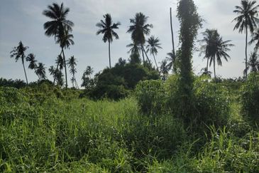 FREEHOLD 4.9 Ekar Main Road Frontage Jalan Kuala Selangor. Kuala Selangor.