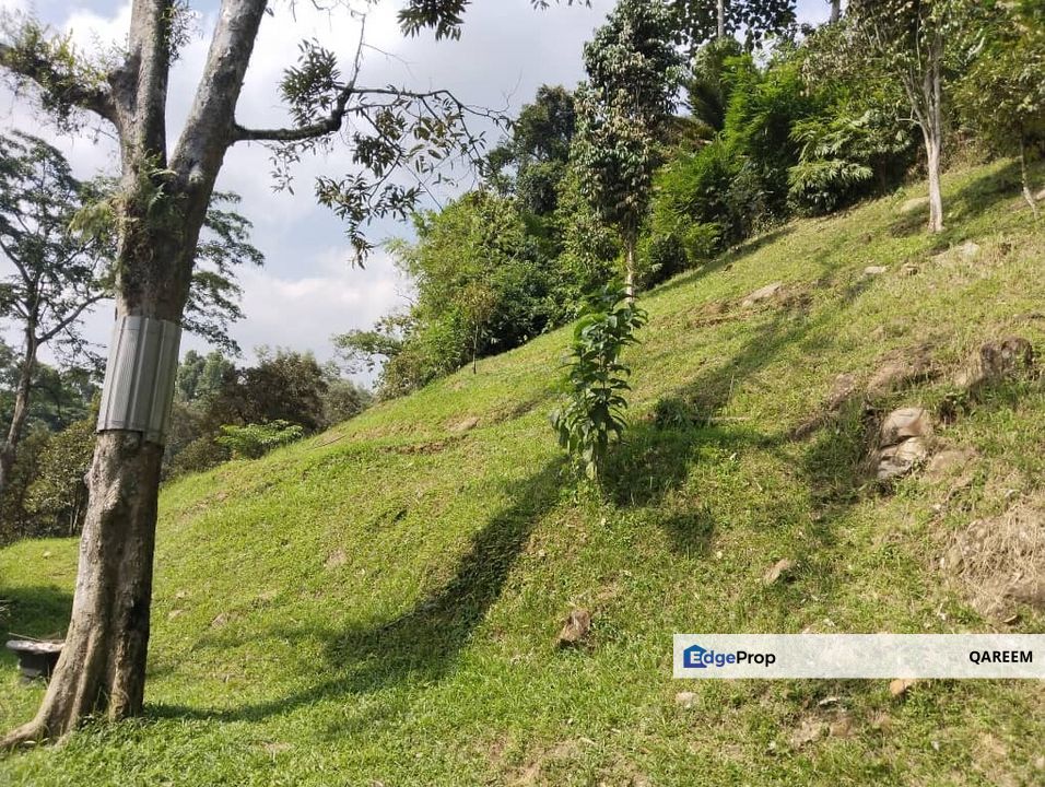 2 Ekar Kampung Kemensah Ulu Klang. Selangor. Tanah Kampung., Selangor, Ampang