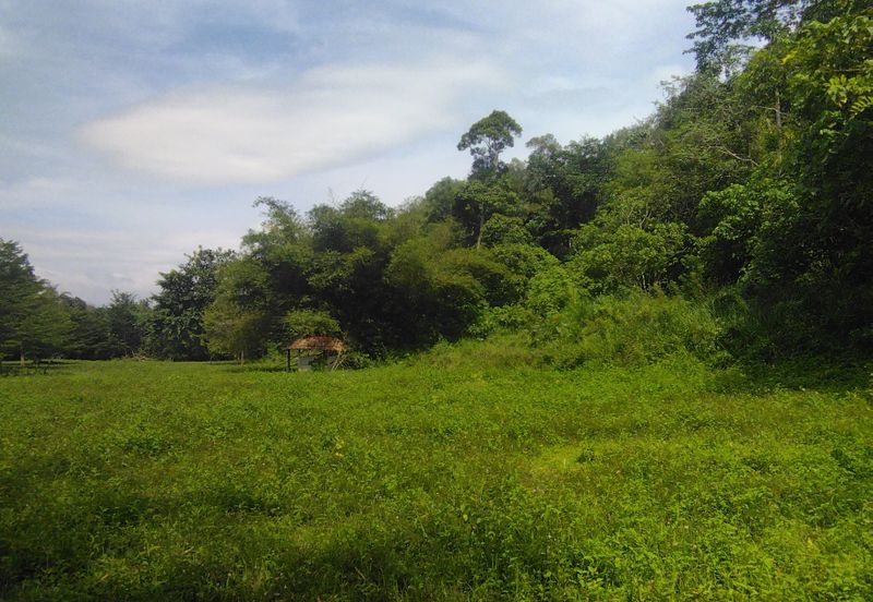 3.97 Ekar Janda baik berhampiran sungai yang bersih. Bentong Pahang