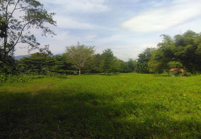 3.97 Ekar Janda baik berhampiran sungai yang bersih. Bentong Pahang