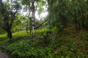 Batang Kali Malay Reservation