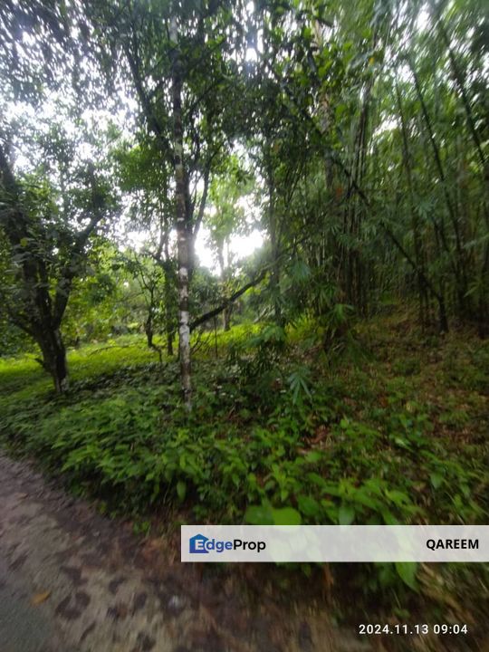 [ Cantik] 2.16 Ekar Tanah Dusun Hulu Tamu Batang Kali Selangor, Selangor, Hulu Selangor