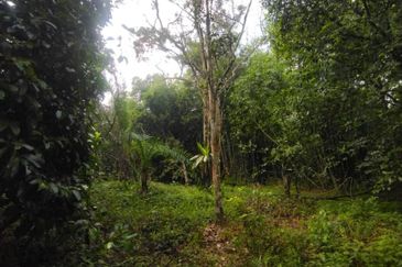 Batang Kali Malay Reservation