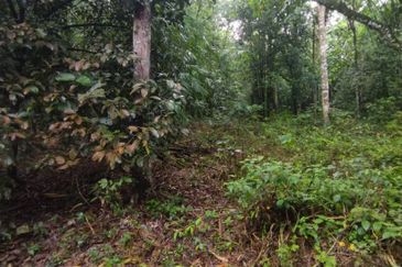 Batang Kali Malay Reservation