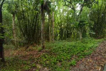 Batang Kali Malay Reservation