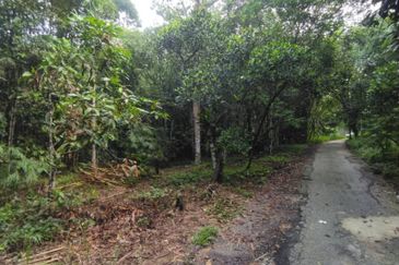 Batang Kali Malay Reservation