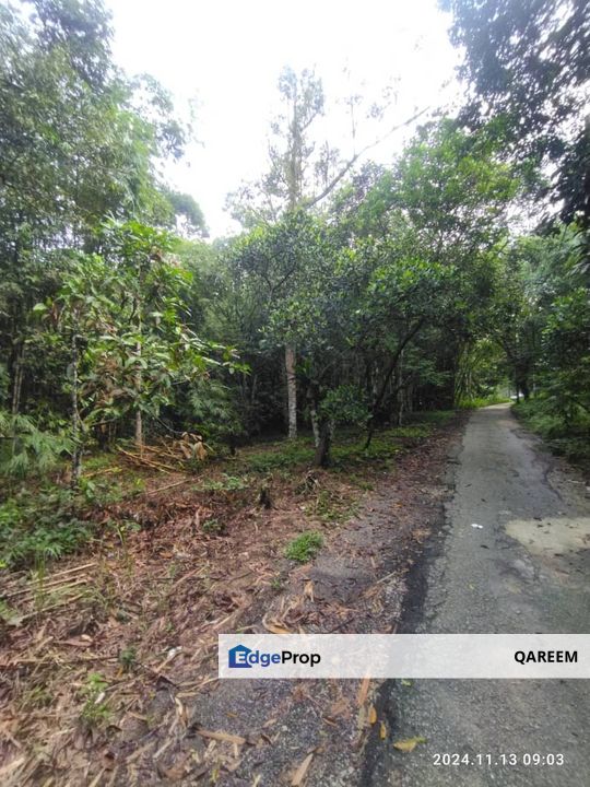 [ Cantik] 2.16 Ekar Tanah Dusun Hulu Tamu Batang Kali Selangor, Selangor, Hulu Selangor