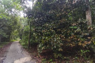 Batang Kali Malay Reservation