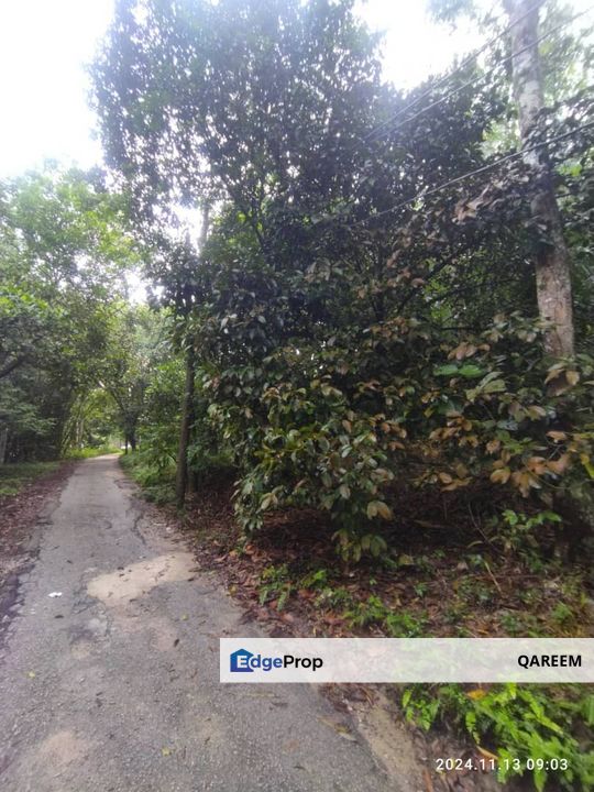 [ Cantik] 2.16 Ekar Tanah Dusun Hulu Tamu Batang Kali Selangor, Selangor, Hulu Selangor