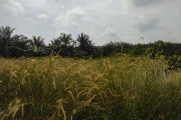 Jalan Kampung Bukit Jeram