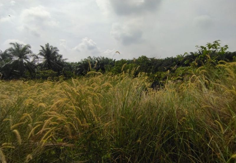 Jalan Kampung Bukit Jeram