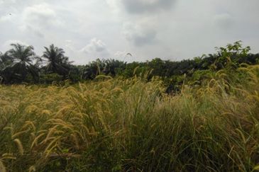 Jalan Kampung Bukit Jeram