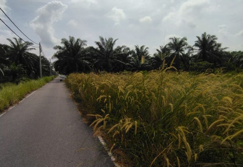 Jalan Kampung Bukit Jeram