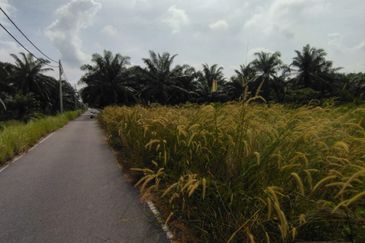 Jalan Kampung Bukit Jeram