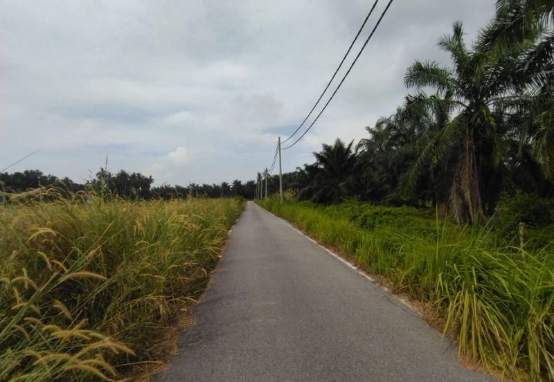 Jalan Kampung Bukit Jeram