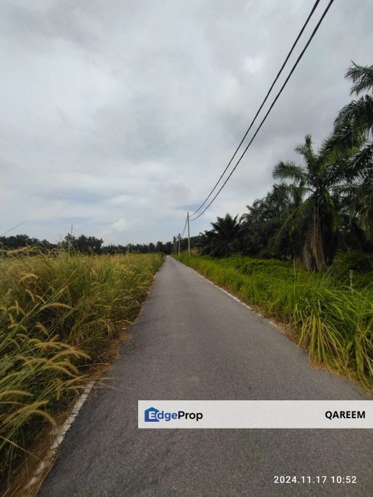 20546 Sft Tanah Pertanian Pantai Remis Jeram Kuala Selangor., Selangor, Jeram