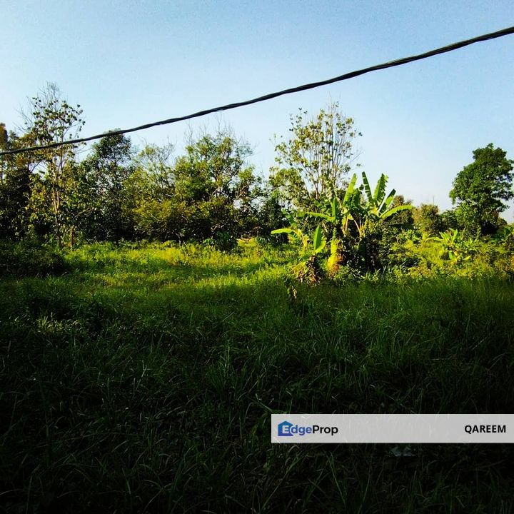 Freehold 5.63 Ekar Ulu Yam Batang Kali. Tanah rata berdepan jalan utama, Selangor, Batang Kali