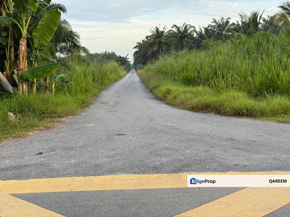 2.01 Ekar Ladang Kelapa Sawit Sekendi Sabak Bernam. , Selangor, Sabak Bernam