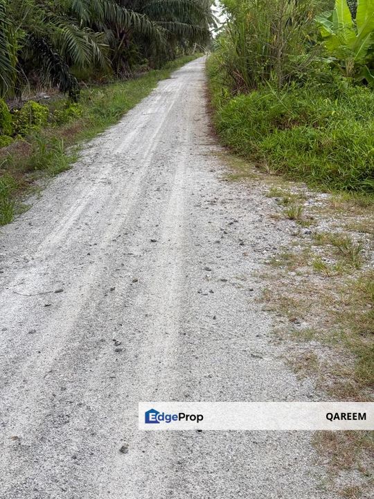 2.01 Ekar Ladang Kelapa Sawit Sekendi Sabak Bernam. , Selangor, Sabak Bernam