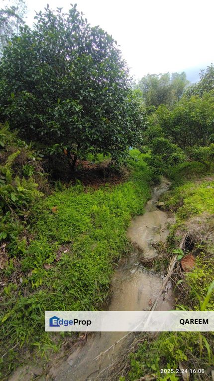 1.3 Ekar Tanah Dusun Sg Tekali Hulu Langat, Selangor, Hulu Langat