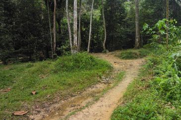 Batang Kali Malay Reservation