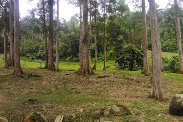 Batang Kali Malay Reservation