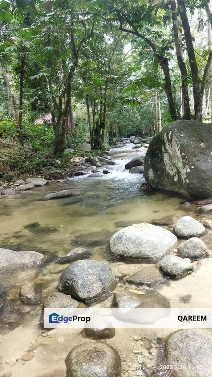 3.84 Ekar Dusun Durian beserta Sungai Air Jernih dan cantik. Batang Kali Selangor, Selangor, Hulu Selangor