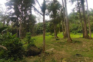 Batang Kali Malay Reservation