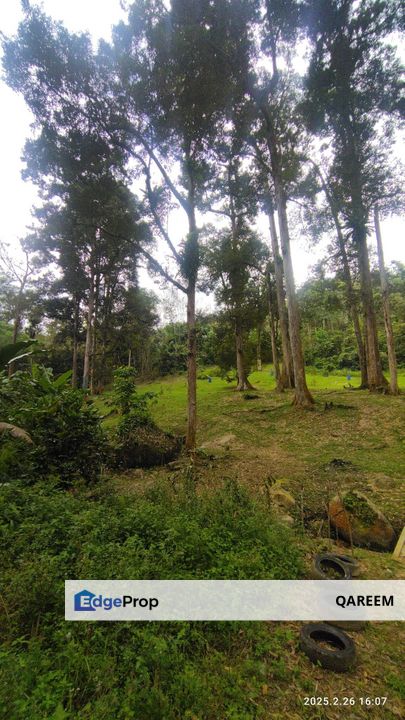 3.84 Ekar Dusun Durian beserta Sungai Air Jernih dan cantik. Batang Kali Selangor, Selangor, Hulu Selangor